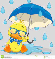 Duck Rain